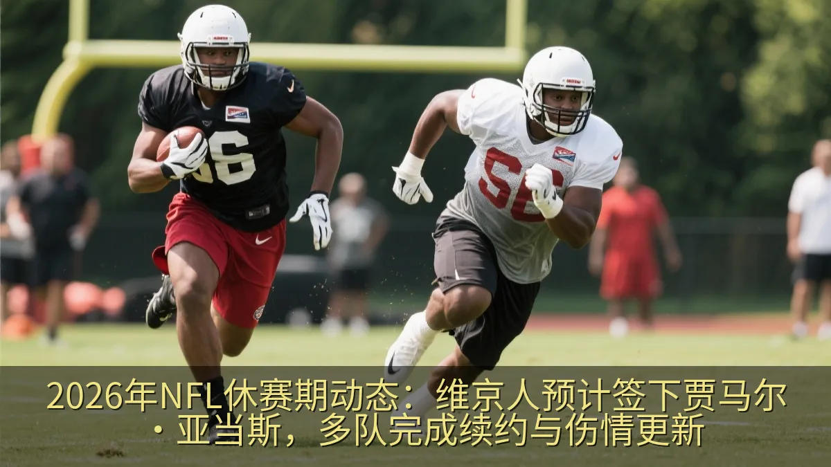 2026年NFL休赛期动态：维京人预计签下贾马尔·亚当斯，多队完成续约与伤情更新